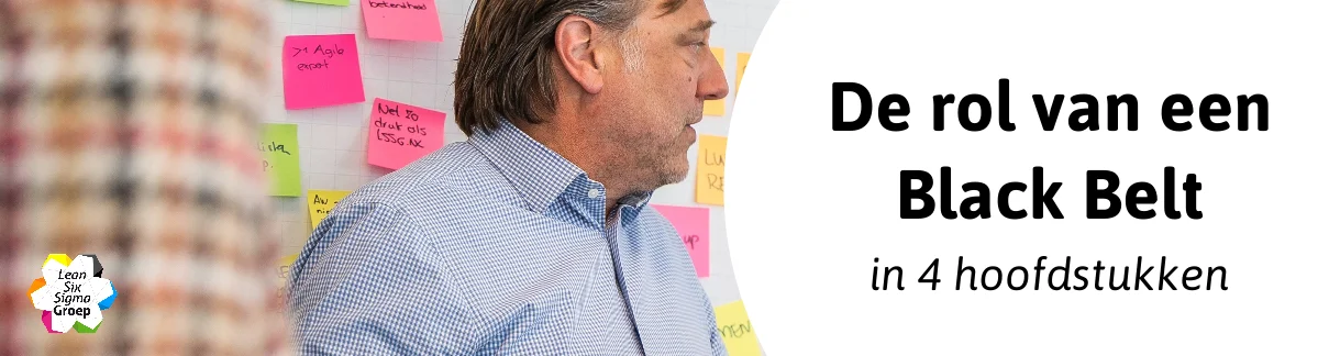 De rol van een Black Belt in 4 hoofdstukken