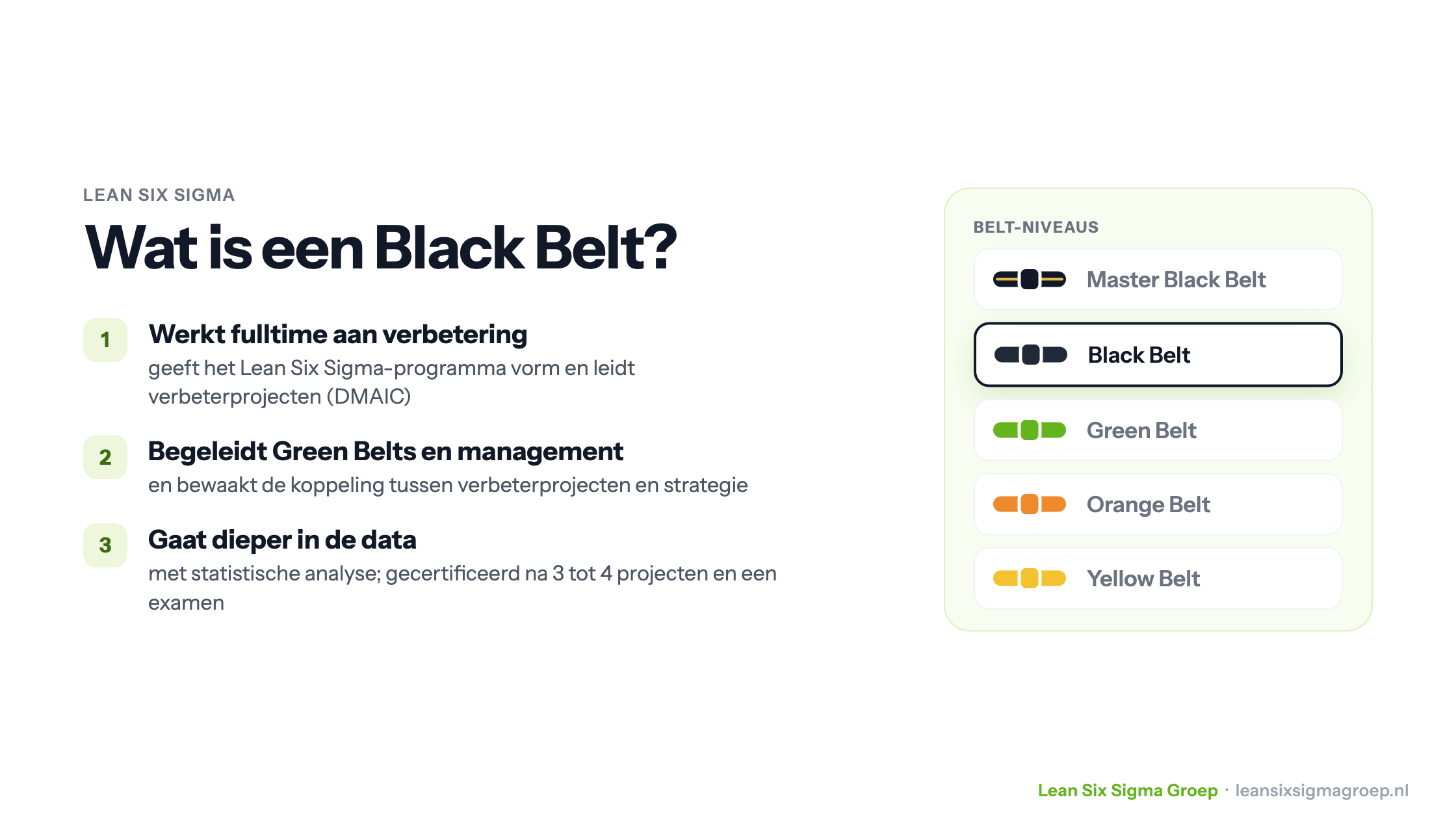 Wat is een Black Belt: werkt fulltime aan verbetering, begeleidt Green Belts en management, en gaat dieper in de data met statistische analyse