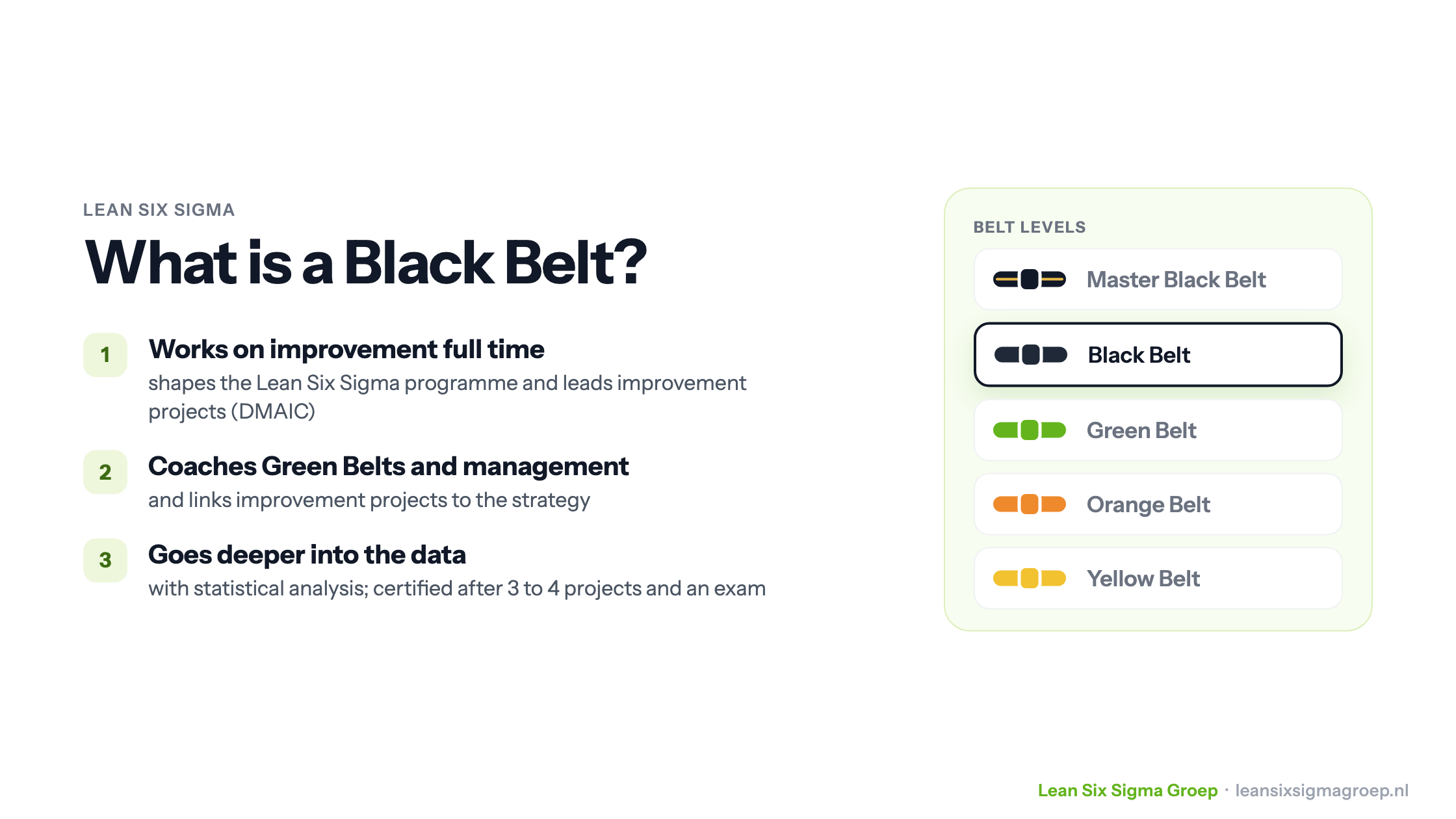What is a Black Belt: works on improvement full time, coaches Green Belts and management, and goes deeper into the data with statistical analysis