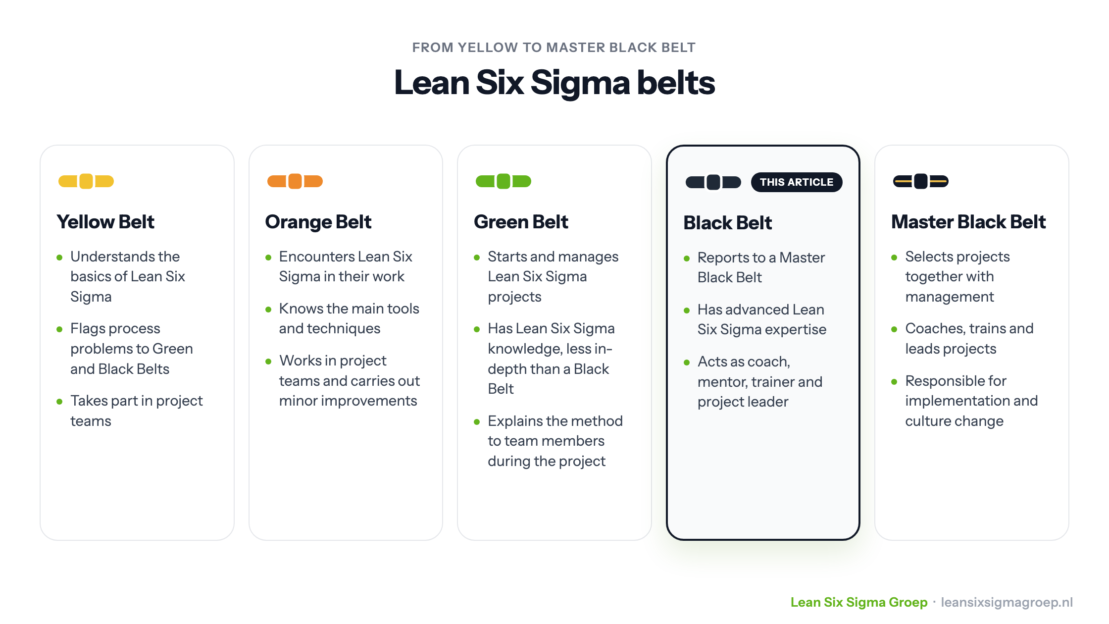 The five Lean Six Sigma belts side by side: Yellow, Orange, Green, Black and Master Black Belt, with the Black Belt highlighted