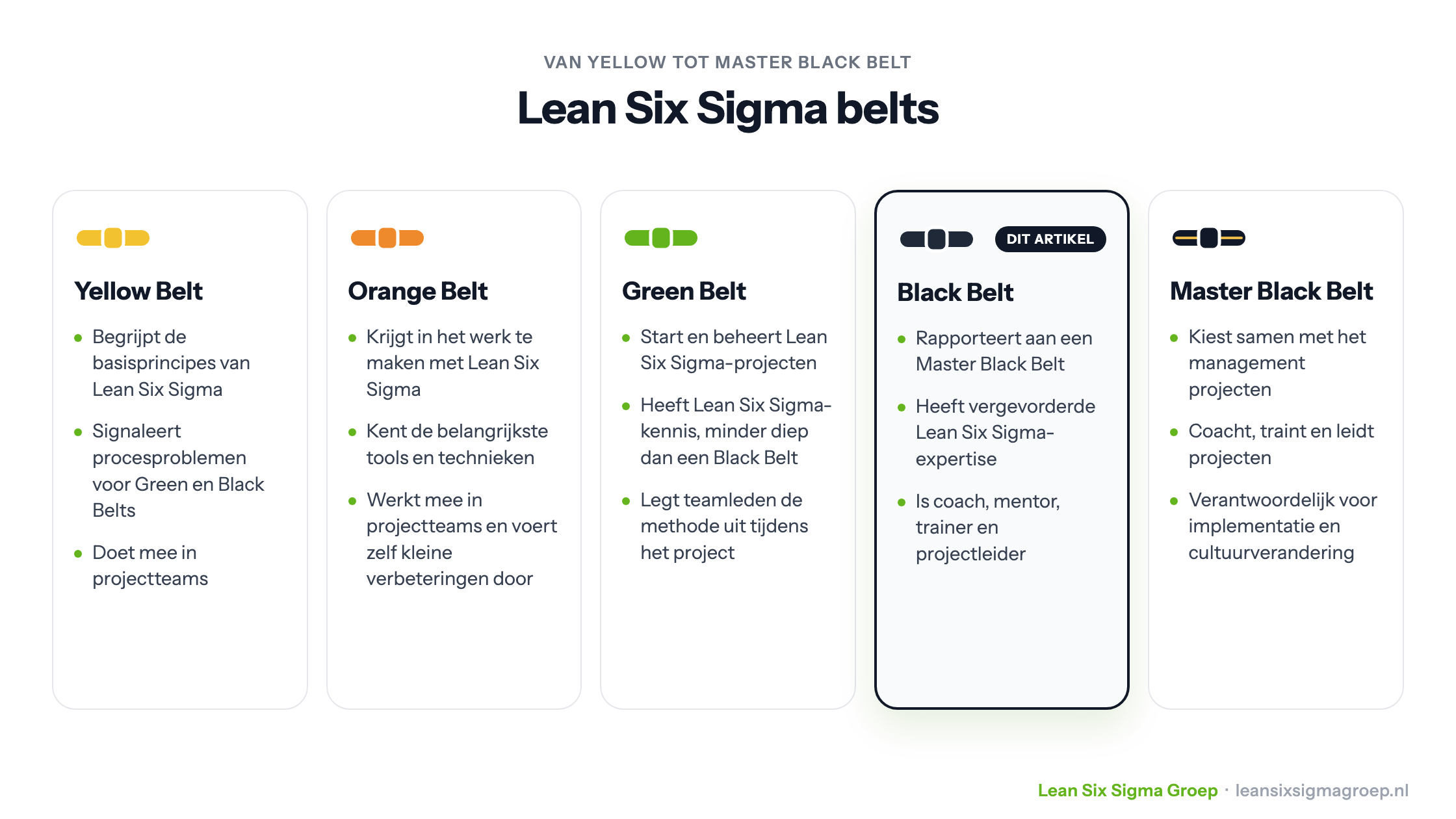 De vijf Lean Six Sigma belts naast elkaar: Yellow, Orange, Green, Black en Master Black Belt, met de Black Belt uitgelicht