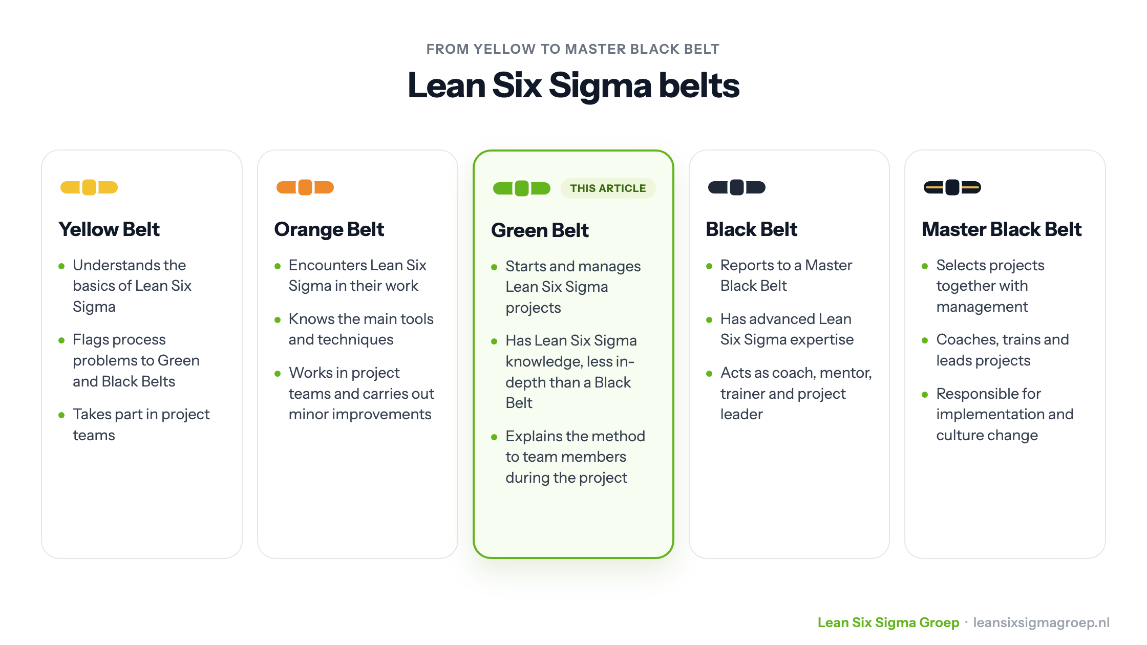 The five Lean Six Sigma belts side by side: Yellow, Orange, Green, Black and Master Black Belt with their characteristics