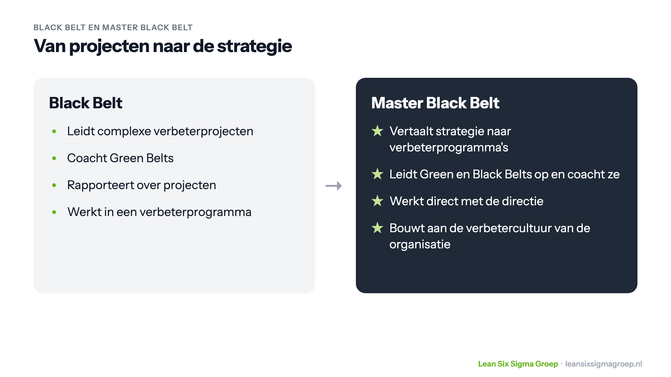 Black Belt tegenover Master Black Belt: van complexe projecten leiden en Green Belts coachen naar strategie vertalen, Belts opleiden en met de directie werken