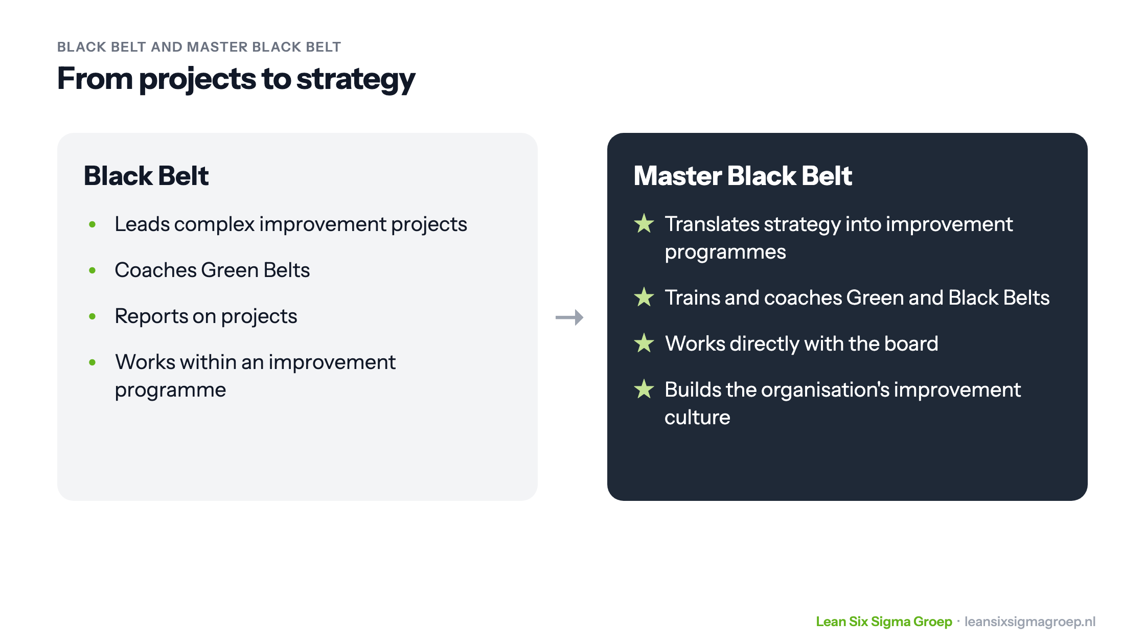 Black Belt versus Master Black Belt: from leading complex projects and coaching Green Belts to translating strategy, training Belts and working with the board