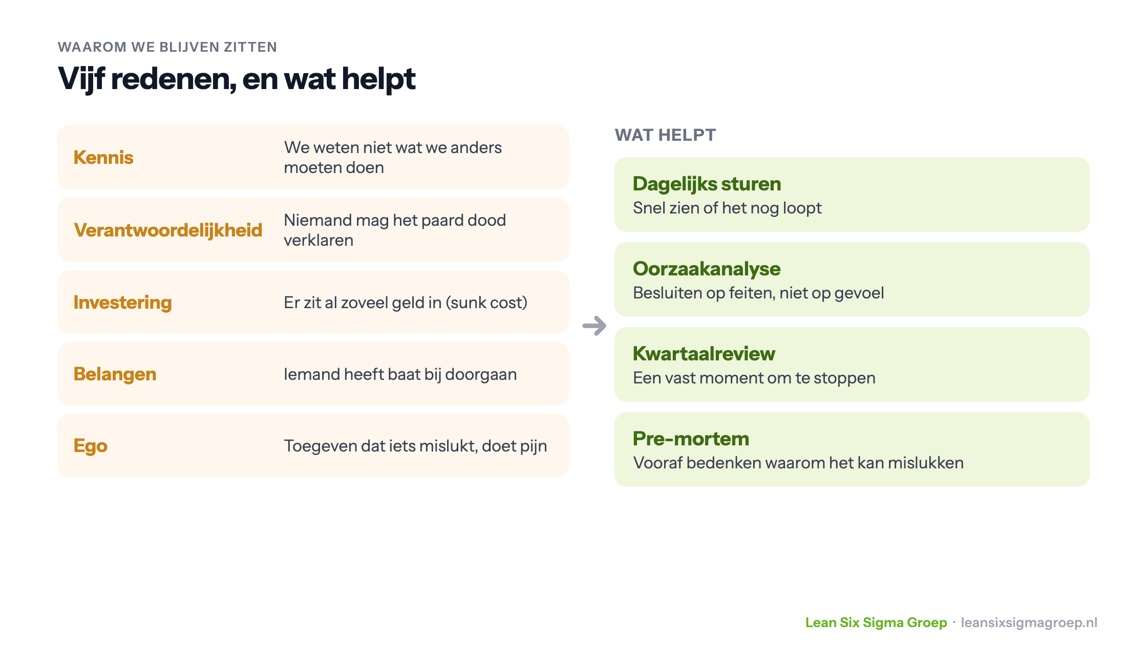 Vijf redenen waarom organisaties op een dood paard blijven zitten, en wat helpt: dagelijks sturen, oorzaakanalyse, kwartaalreviews en een pre-mortem