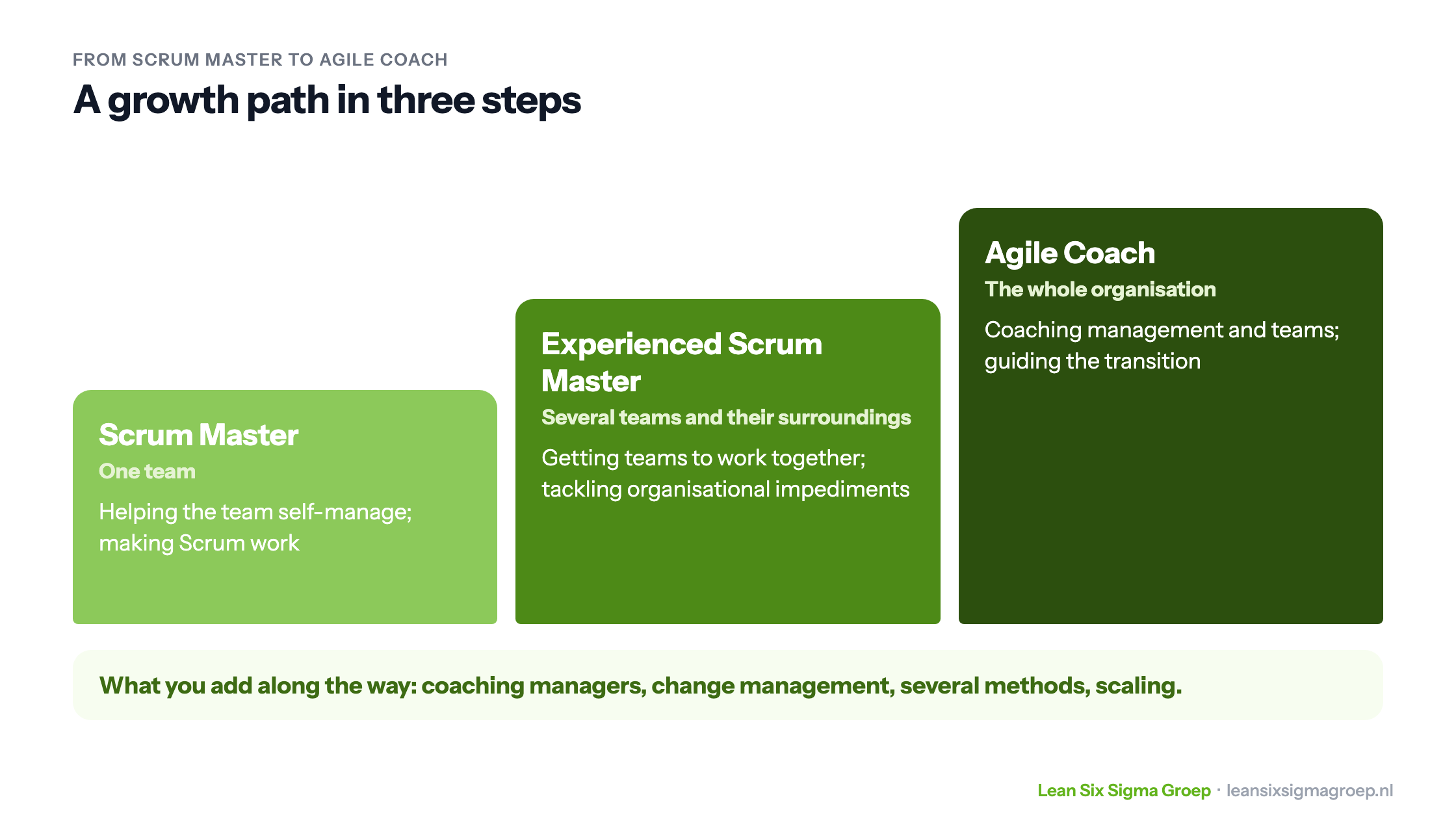 Growth path from Scrum Master through experienced Scrum Master for several teams to Agile Coach for the whole organisation