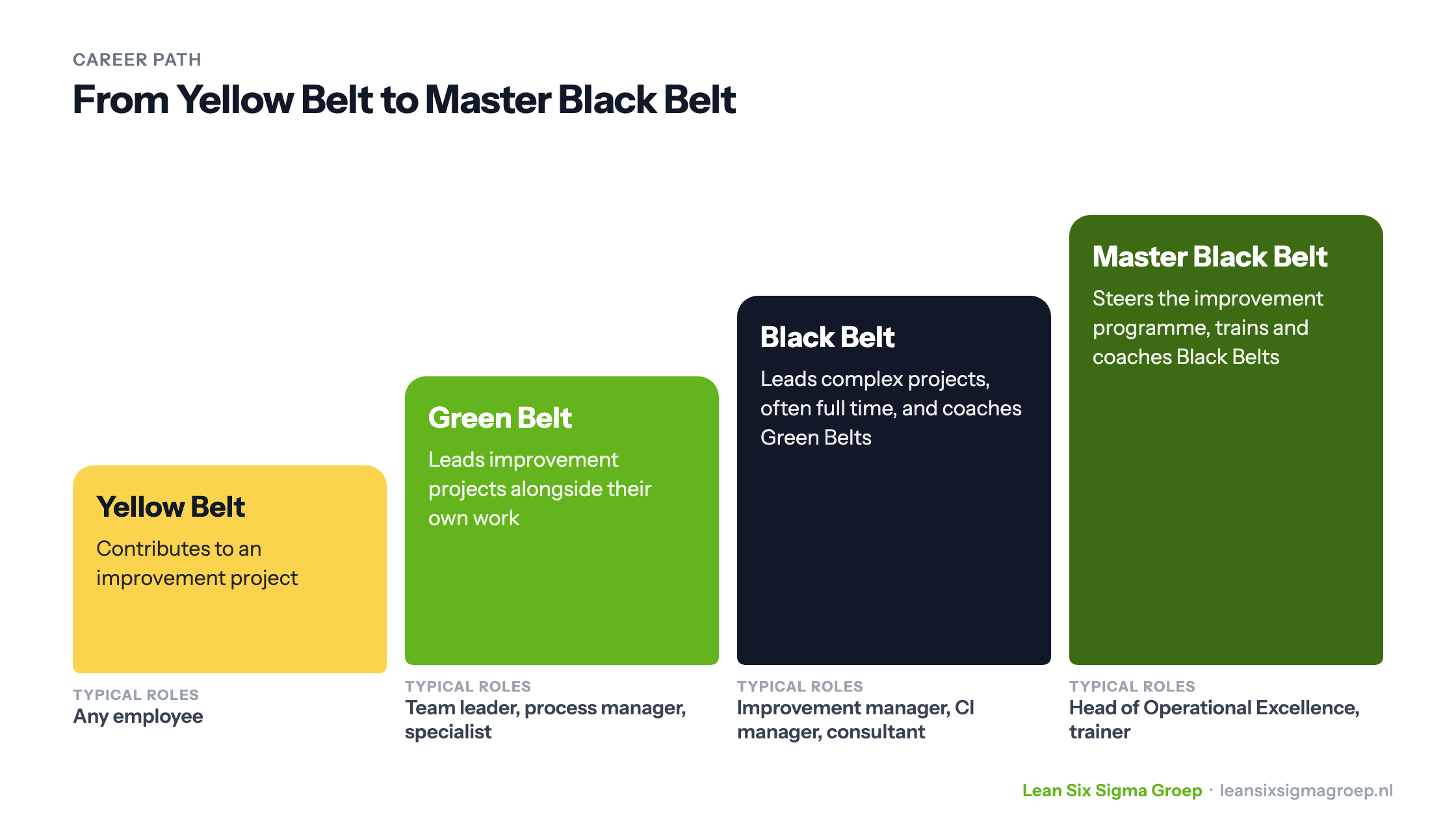 Career path from Yellow Belt via Green Belt and Black Belt to Master Black Belt, with the task and typical roles at each level
