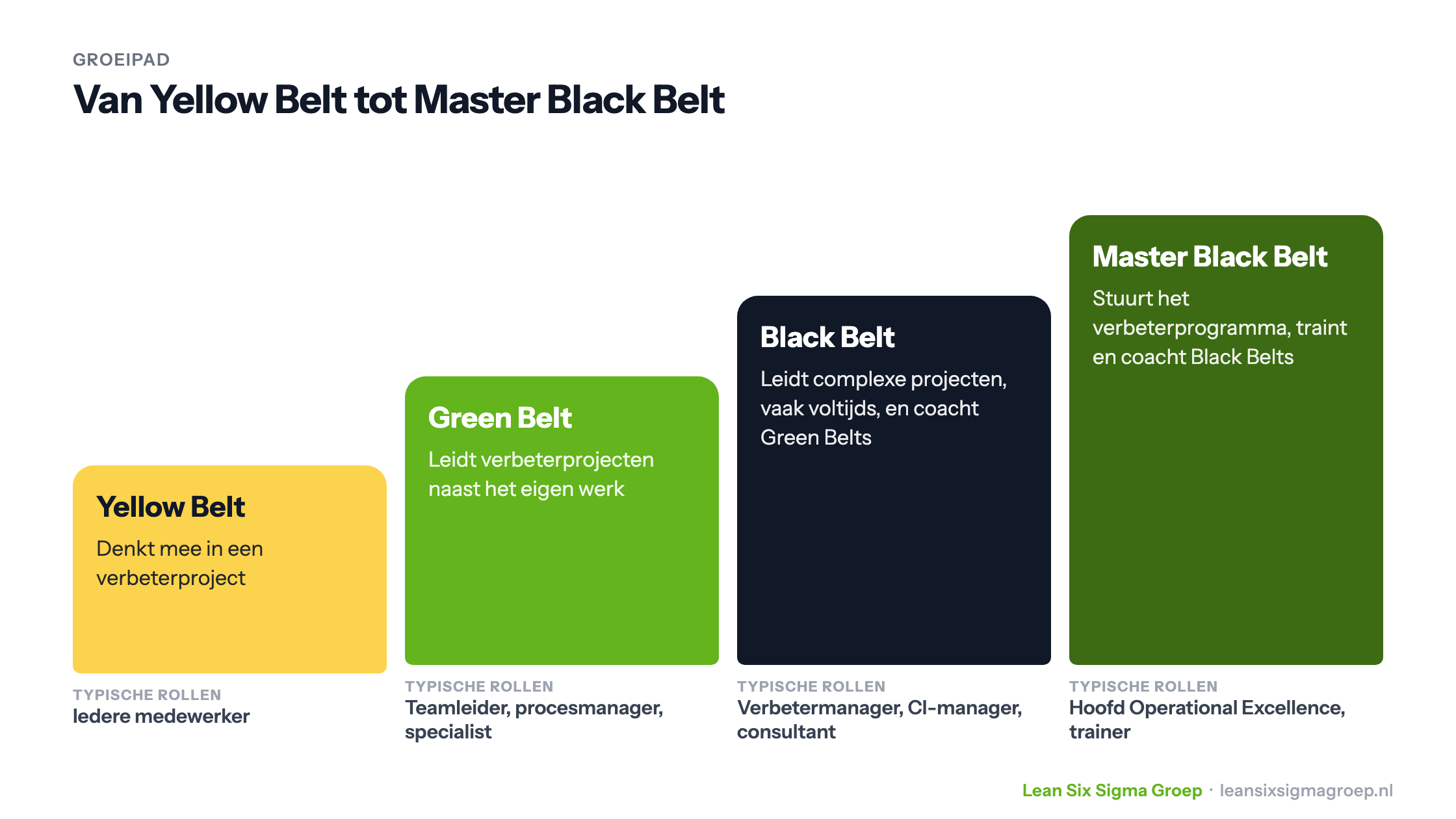 Groeipad van Yellow Belt via Green Belt en Black Belt naar Master Black Belt, met per niveau de taak en typische rollen