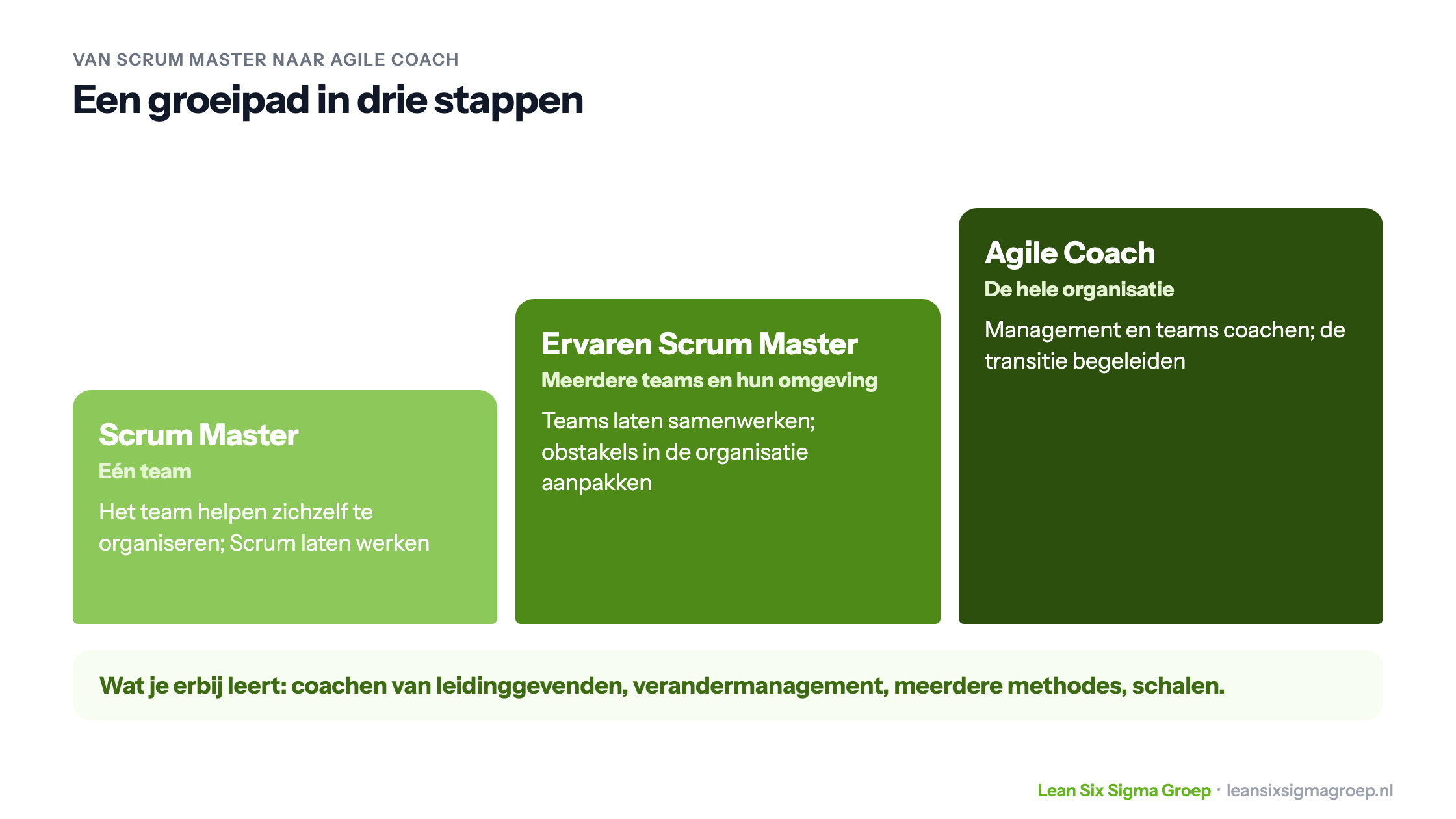 Groeipad van Scrum Master via ervaren Scrum Master voor meerdere teams naar Agile Coach voor de hele organisatie