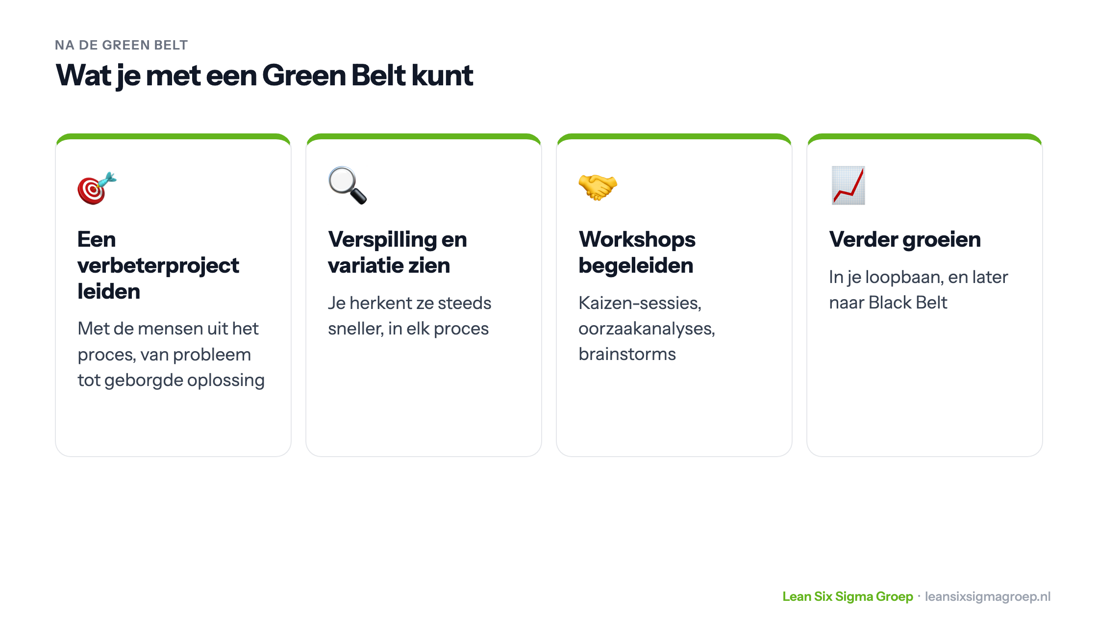 Wat je met een Green Belt kunt: een verbeterproject leiden, verspilling en variatie zien, workshops begeleiden en verder groeien