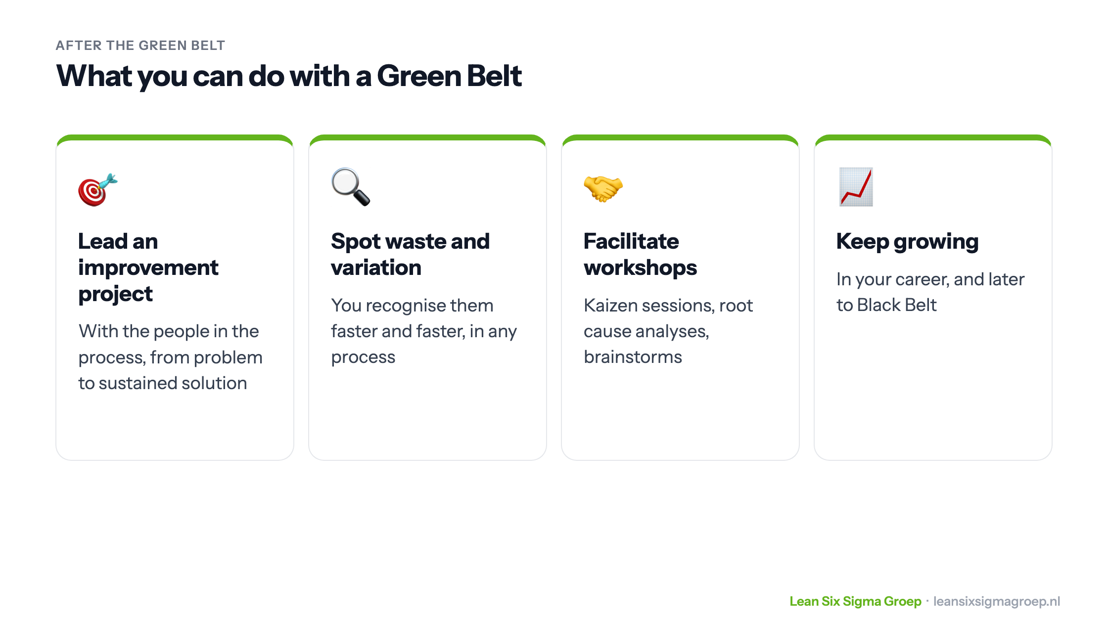 What you can do with a Green Belt: lead an improvement project, spot waste and variation, facilitate workshops and keep growing